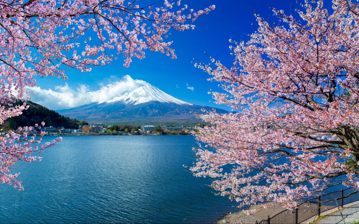 Beauty of East Java