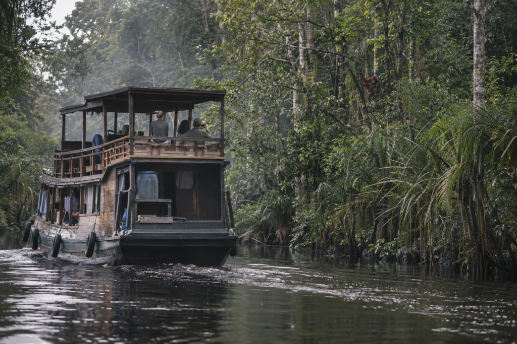 Klotok boat moving through the rainforest waterways of Indonesian Borneo.
