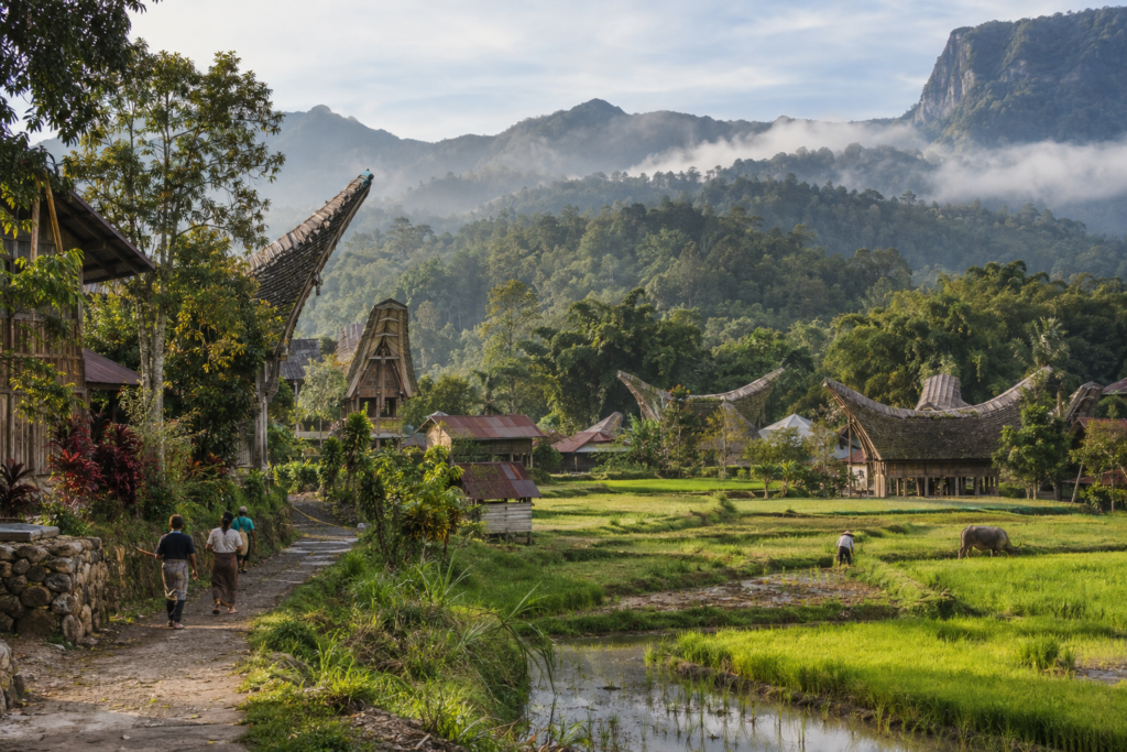 Tongkonan houses and rice fields in the Toraja highlands of Sulawesi.