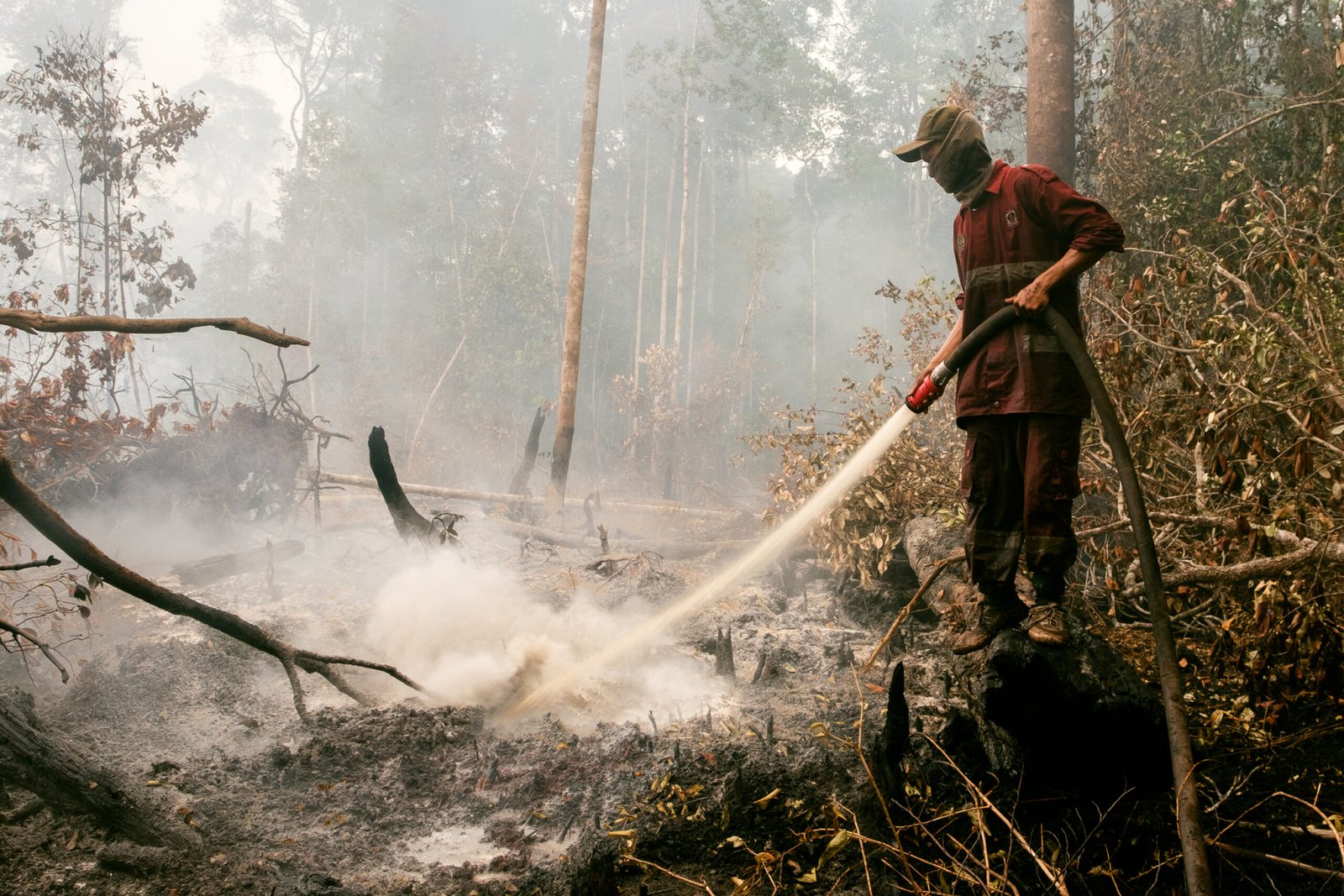 A responder sprays water onto smoking peatland in Sebangau National Park, Central Kalimantan, September 2019